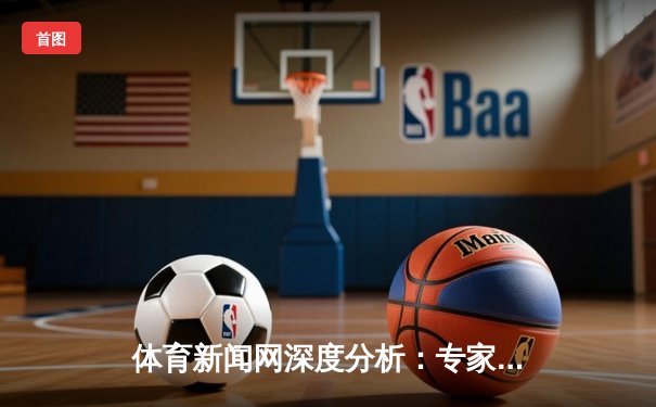 体育新闻网深度分析：专家解读